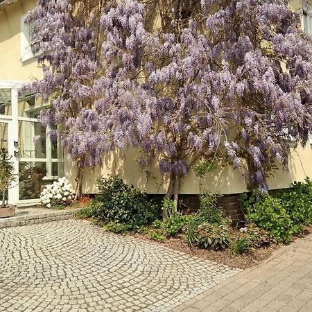 Pension Franzbaecker Warburg Exterior foto
